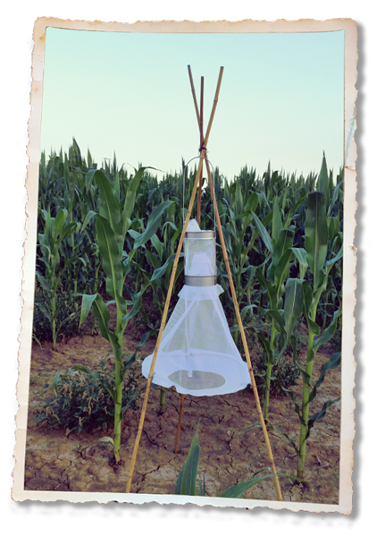 Sistema di difesa integrata delle coltivazioni